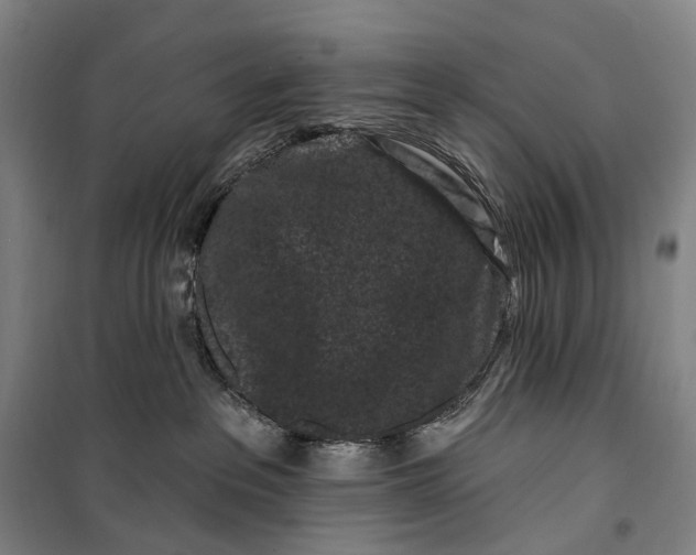 X0000099560237200806061547