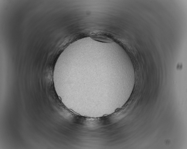 X0000099560240200806061547