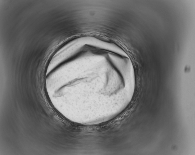 X0000099560241200806061546