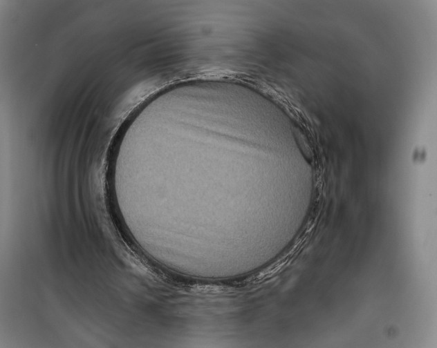 X0000099560242200806061546