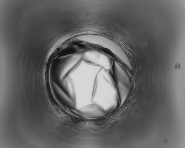 X0000099560244200806061546