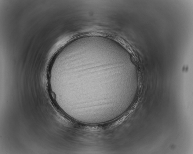 X0000099560245200806061546