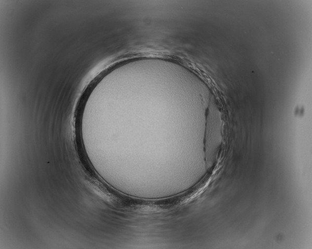 X0000099560246200806061546