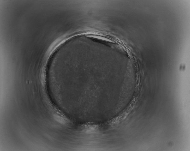 X0000099560247200806061546