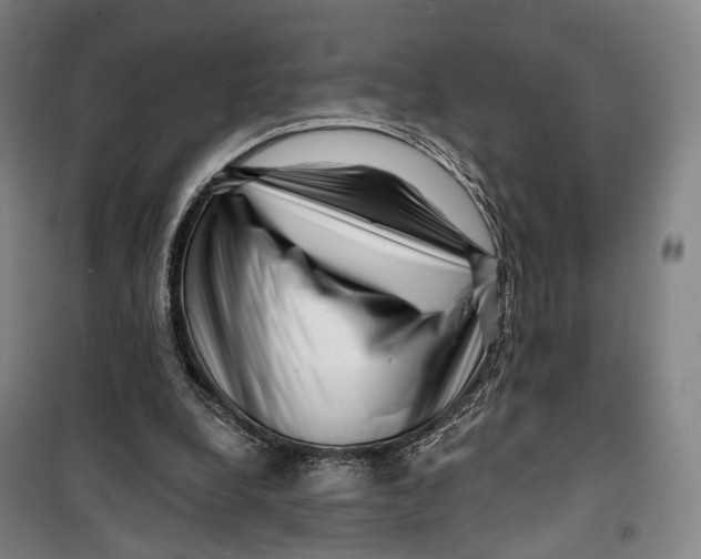 X0000099560248200806061546