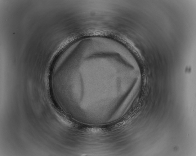 X0000099560250200806061546