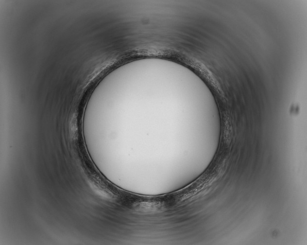 X0000099560251200806061546