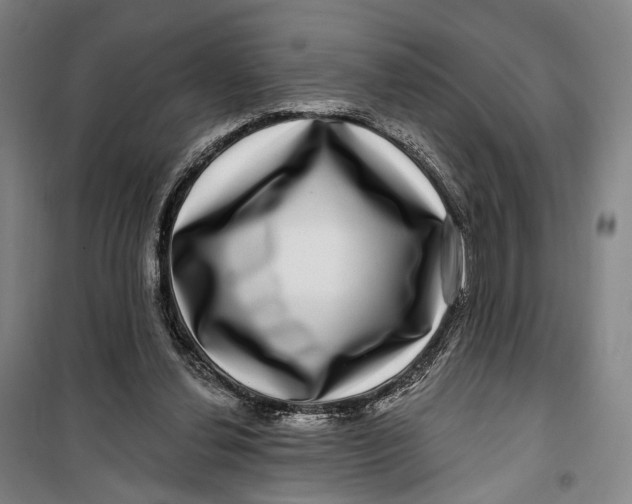 X0000099560252200806061546