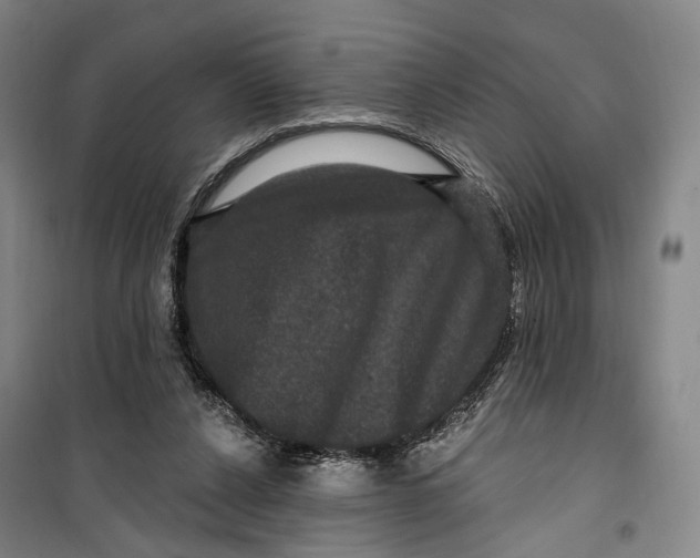 X0000099560256200806061546