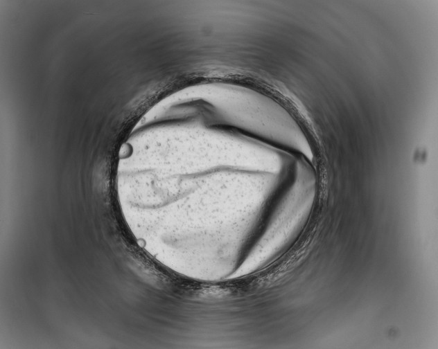 X0000099560257200806061546