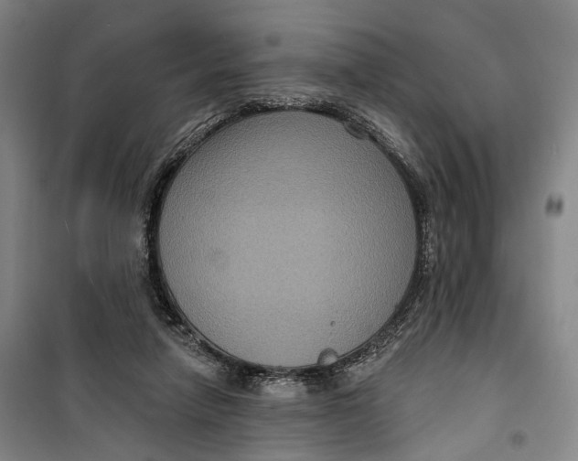 X0000099560258200806061546