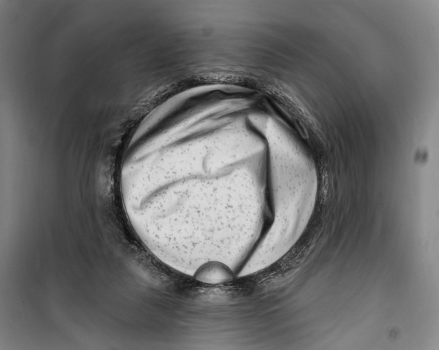 X0000099560259200806061546