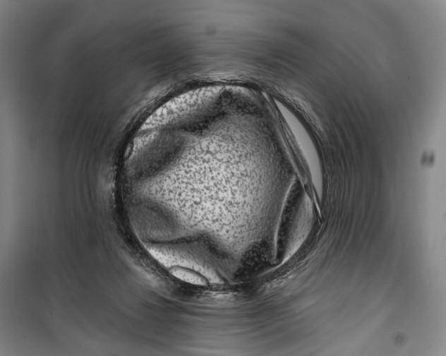 X0000099560260200806061546