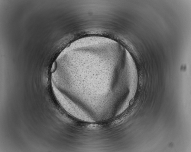 X0000099560261200806061546