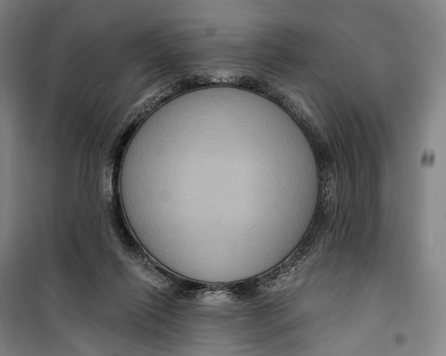 X0000099560262200806061546