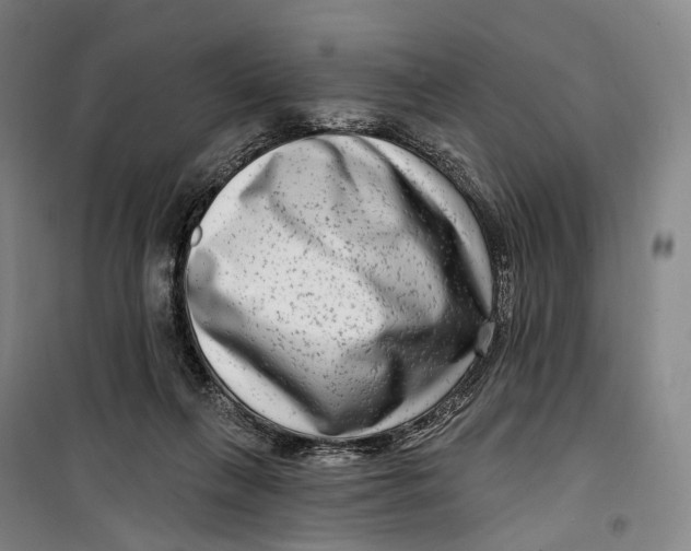 X0000099560263200806061546