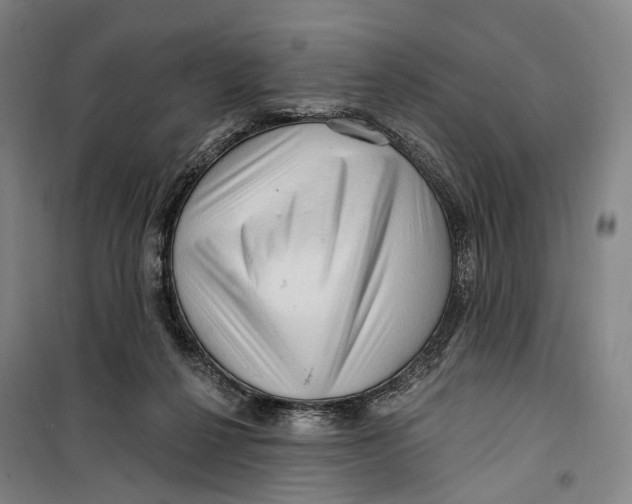 X0000099560264200806061546