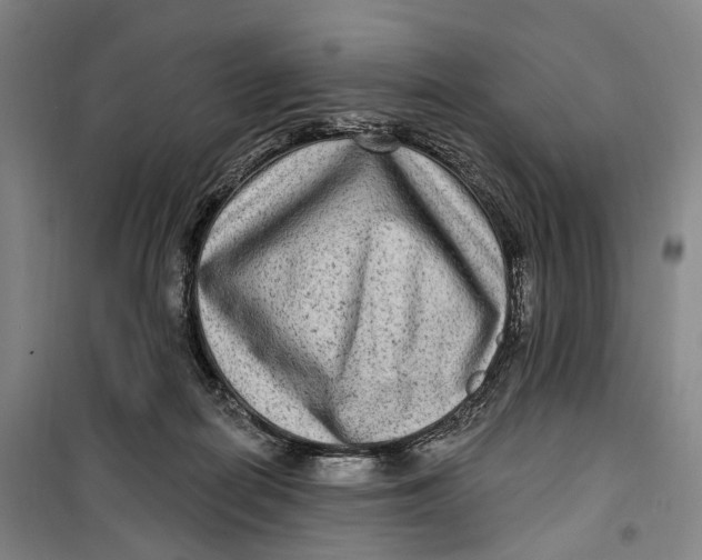 X0000099560266200806061546