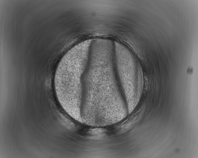 X0000099560269200806061546