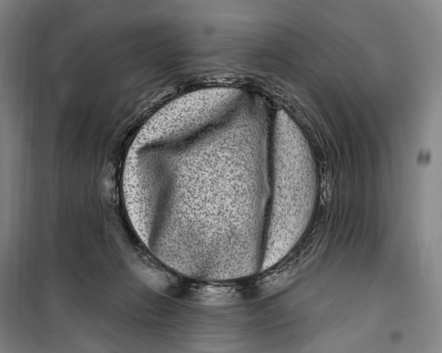 X0000099560270200806061546