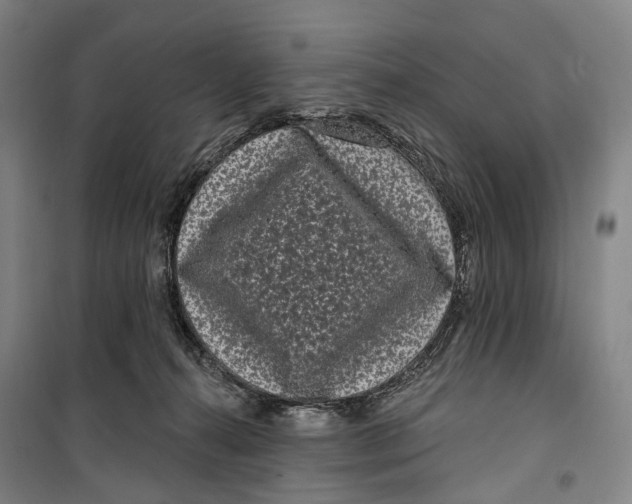 X0000099560272200806061546