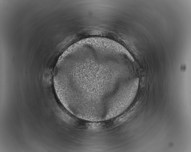 X0000099560273200806061546