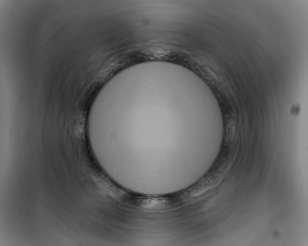 X0000099560274200806061546