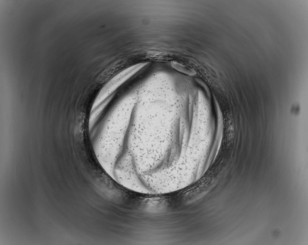 X0000099560275200806061546