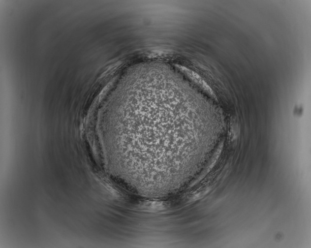 X0000099560276200806061546