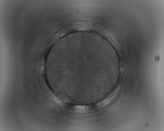 X0000099560277200806061546