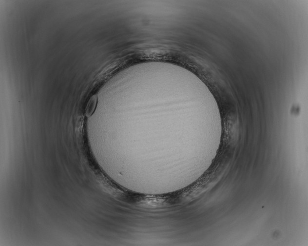 X0000099560278200806061546