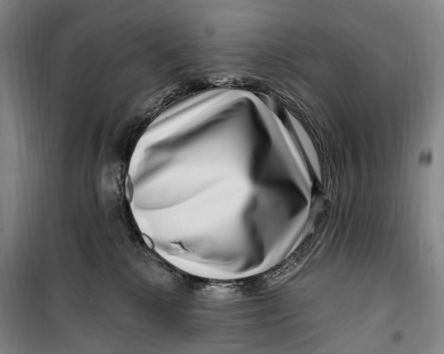 X0000099560280200806061546