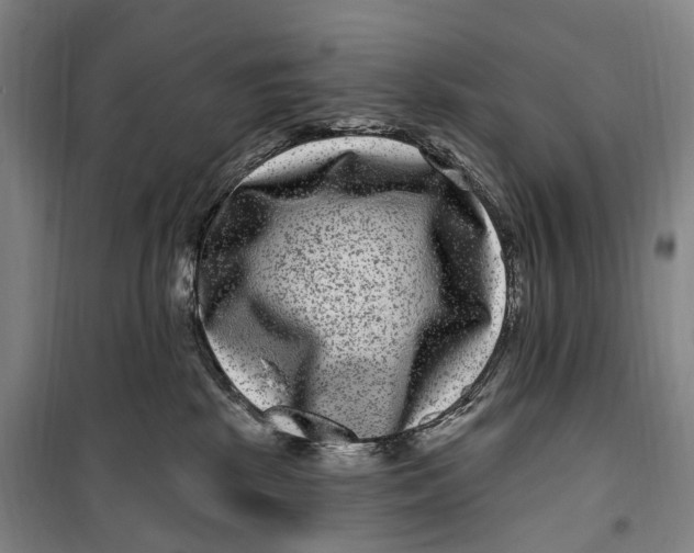 X0000099560281200806061546