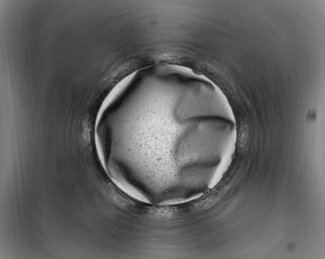 X0000099560282200806061546