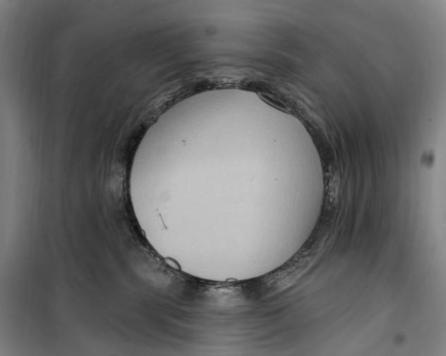 X0000099560283200806061546