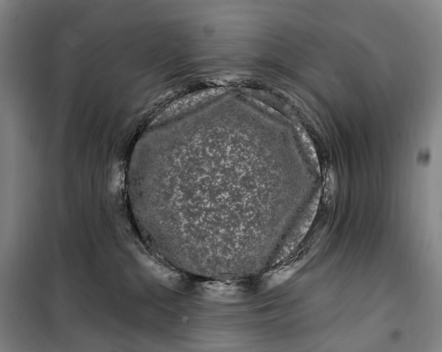 X0000099560284200806061546