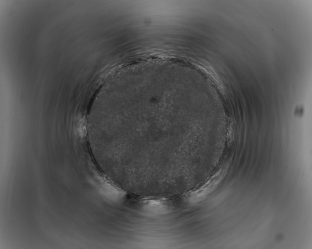 X0000099560285200806061547