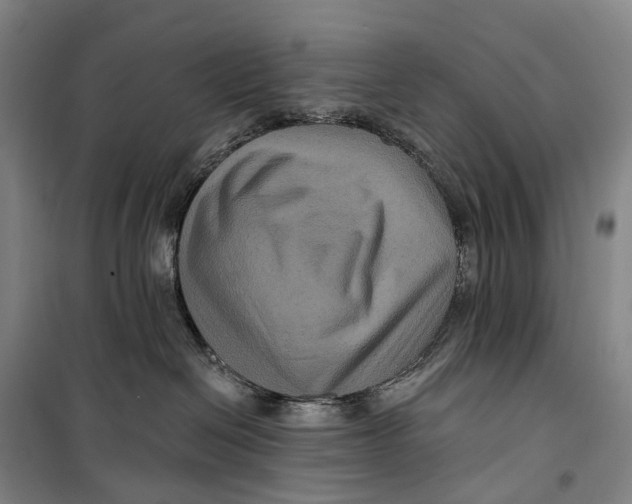 X0000099560286200806061547