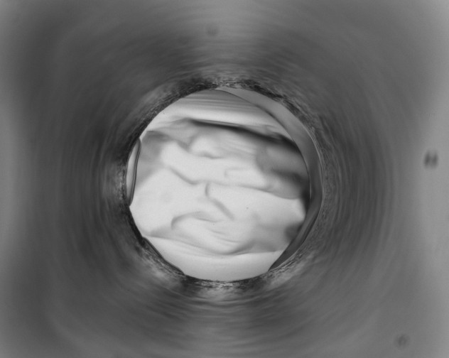 X0000099560288200806061547