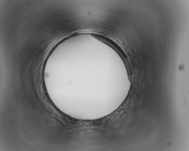 X0000099560289200806061546