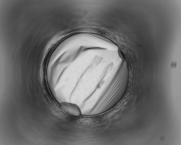 X0000099560294200806061546