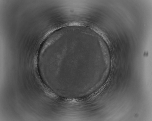 X0000099560297200806061546