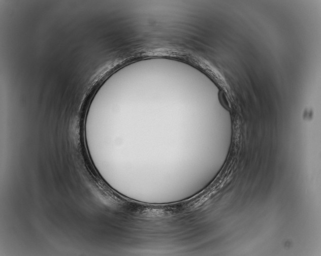 X0000099560298200806061546