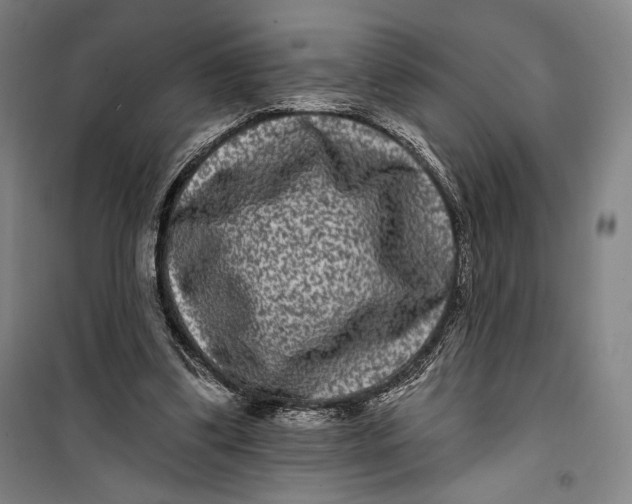 X0000099560299200806061546