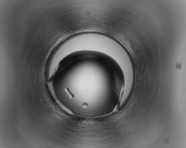 X0000099560300200806061546