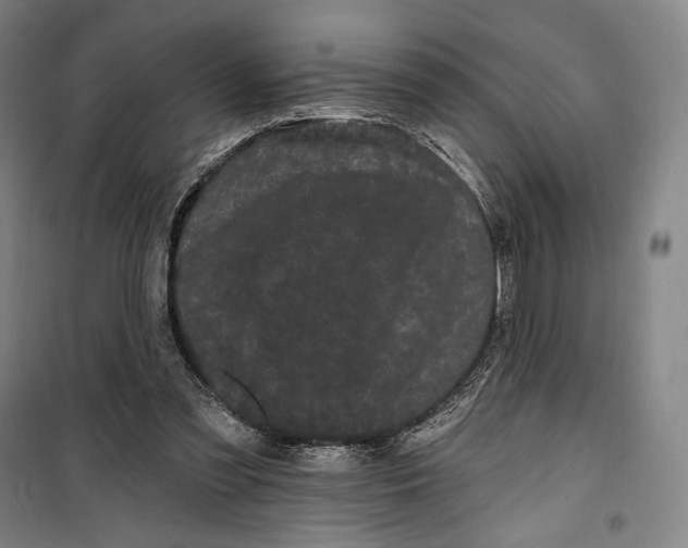 X0000099560301200806061546