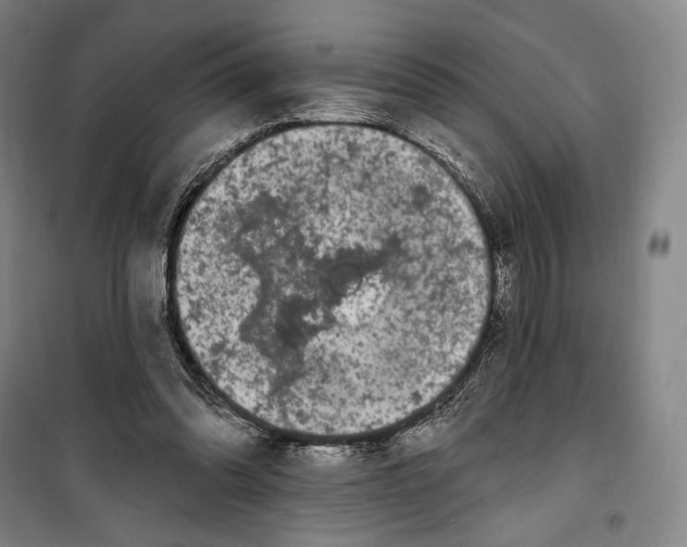 X0000099560302200806061546