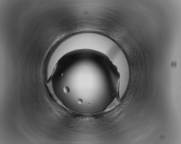 X0000099560304200806061546