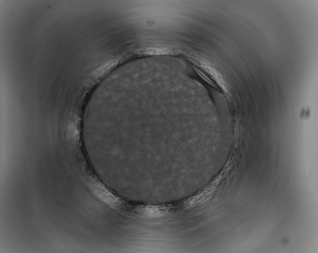 X0000099560305200806061546