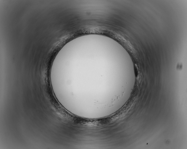 X0000099560306200806061546